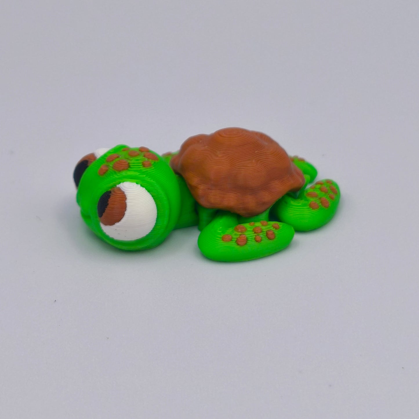 Flexi Toruga 🐢 Churumbel