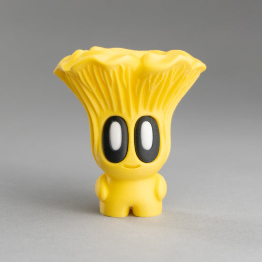🍄 Chanti el Rebozuelo risueño