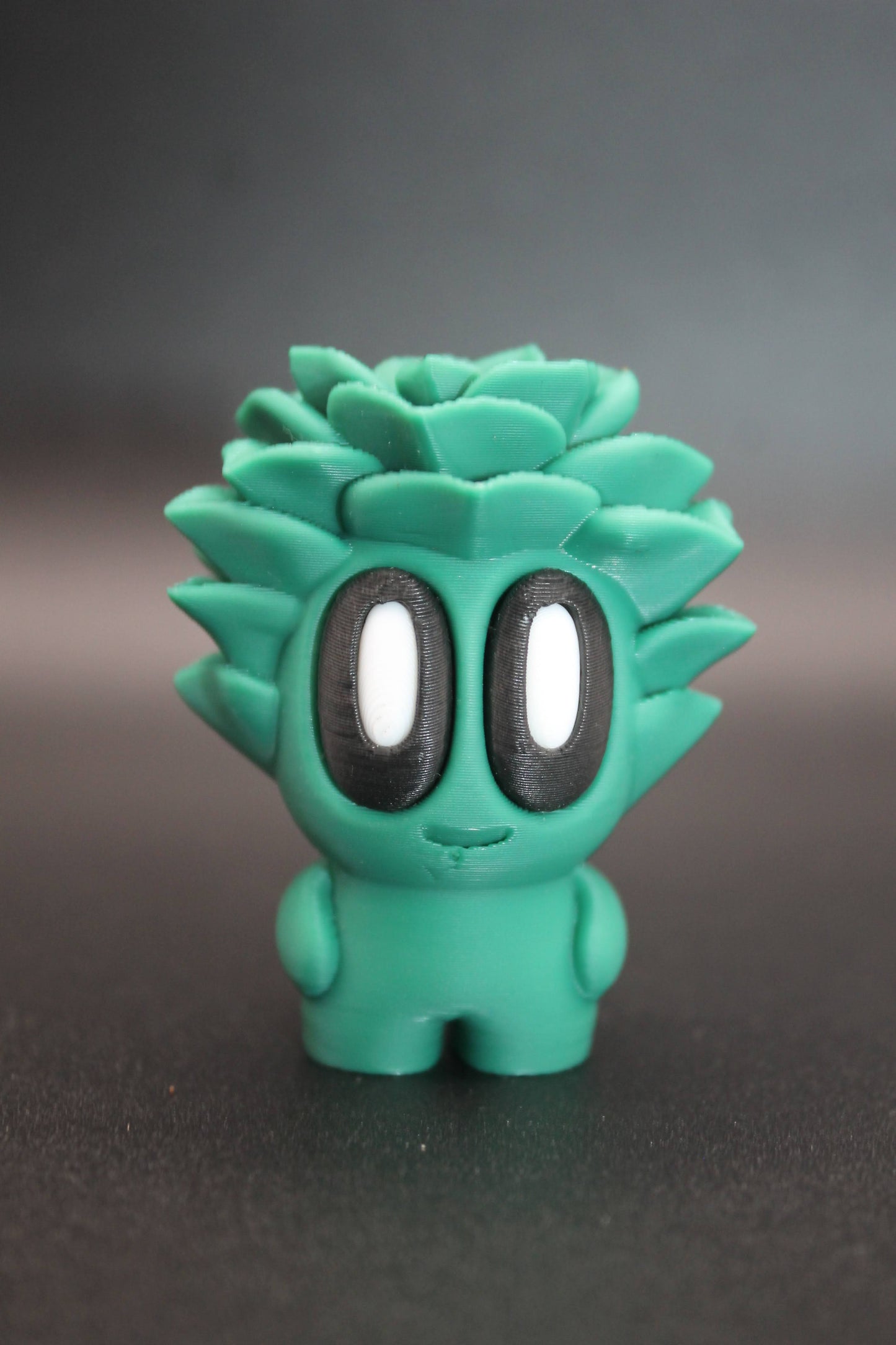 Liri la Planta Tropical