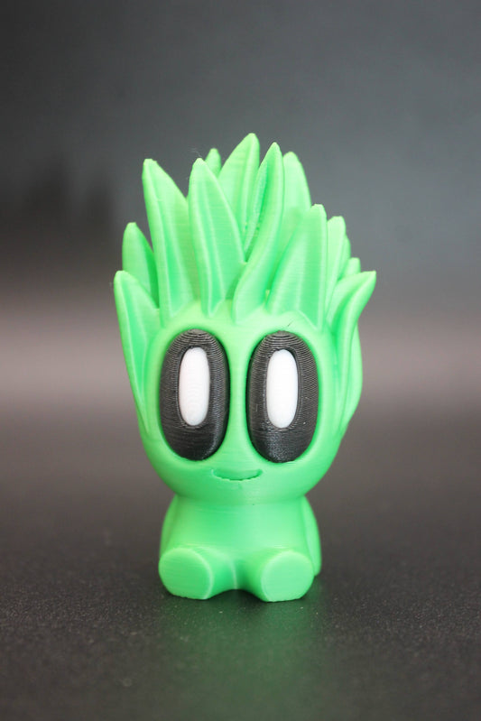 Mela la Suculenta del Hogar