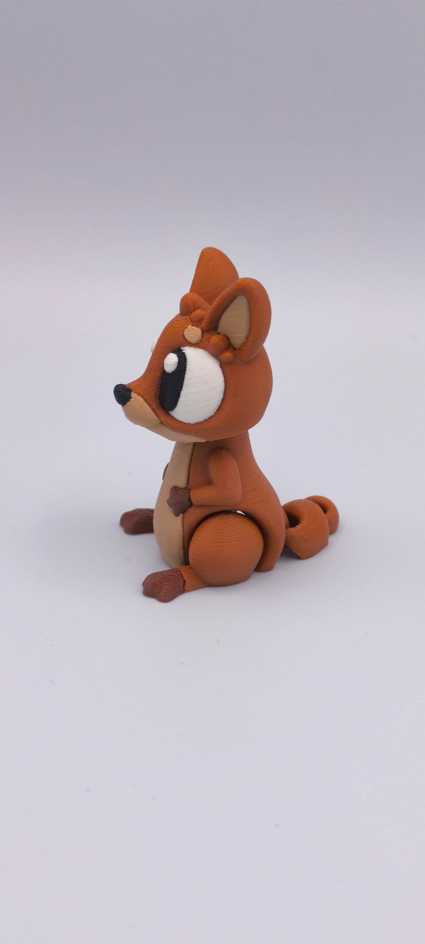 Flexi Canguro 🦘 Kora