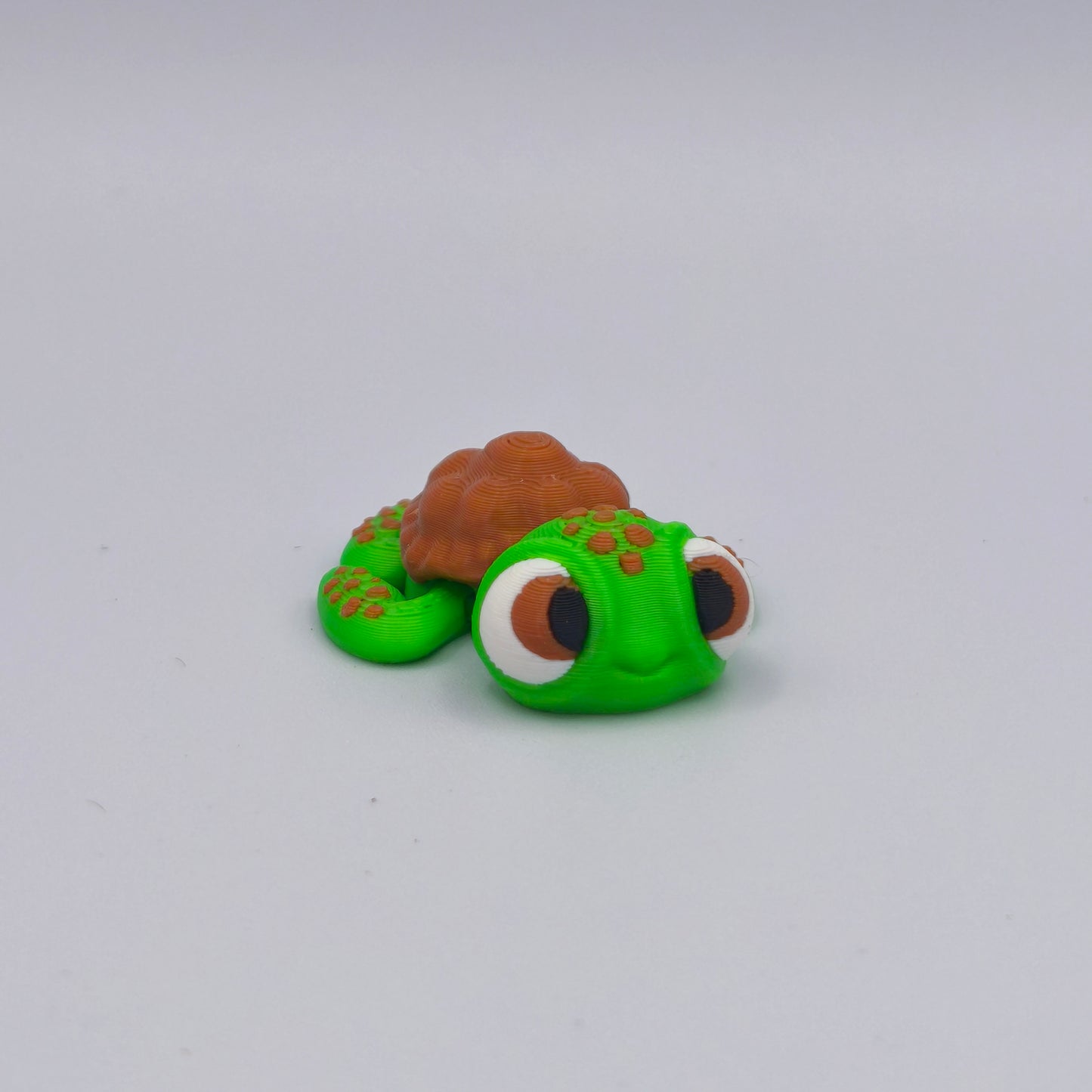 Flexi Toruga 🐢 Churumbel