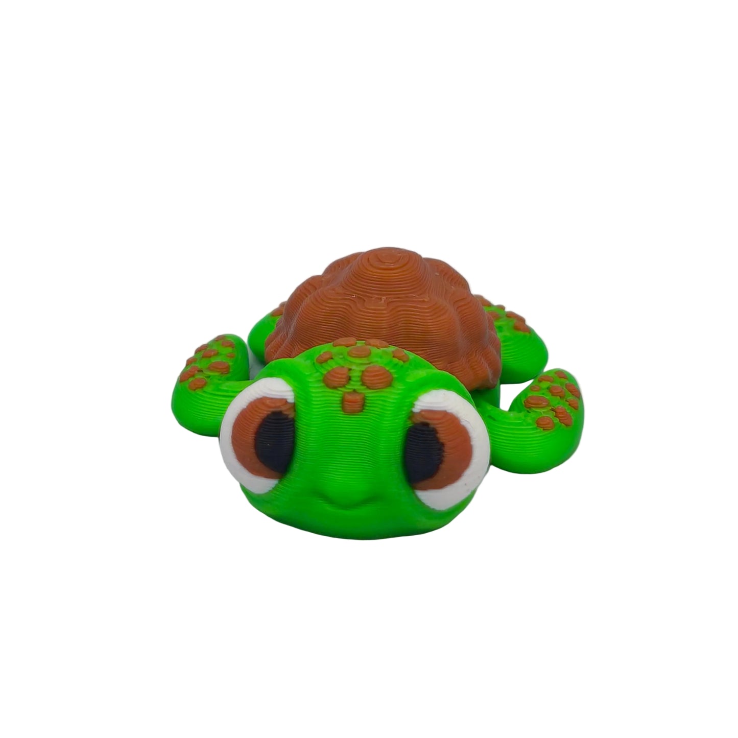 Flexi Toruga 🐢 Churumbel